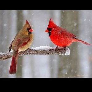 Meet your Posher, Pamela